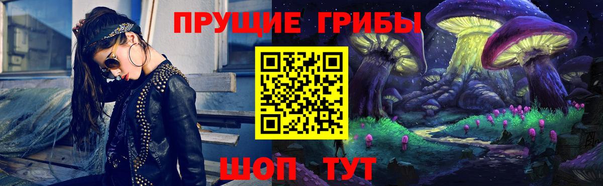 Галлюциногенные грибы Magic Shrooms  Вход с VPN  Черногорск  Псилоцибиновые грибы Psilocybe 